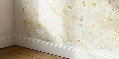 protector opstijgend vocht muur protector opstijgend vocht muur