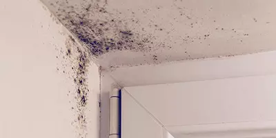 protector Condensation et manque de ventilation protector Condensation et manque de ventilation
